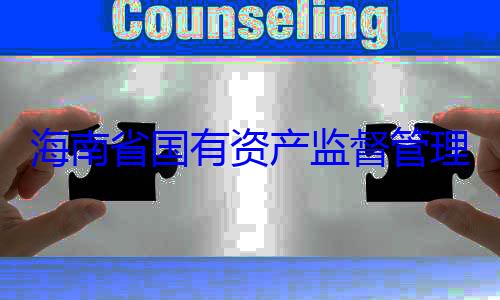 海南省国有委副书记王理委员会党资产监督管有福接受审查调查